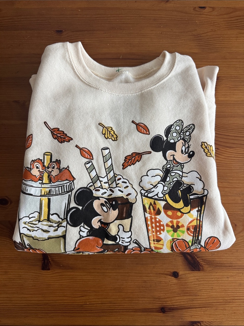 Disney Disneyland Resort Pumpkin Spice & Everything Nice Crewneck Sweatshirt - Picture 7 of 8
